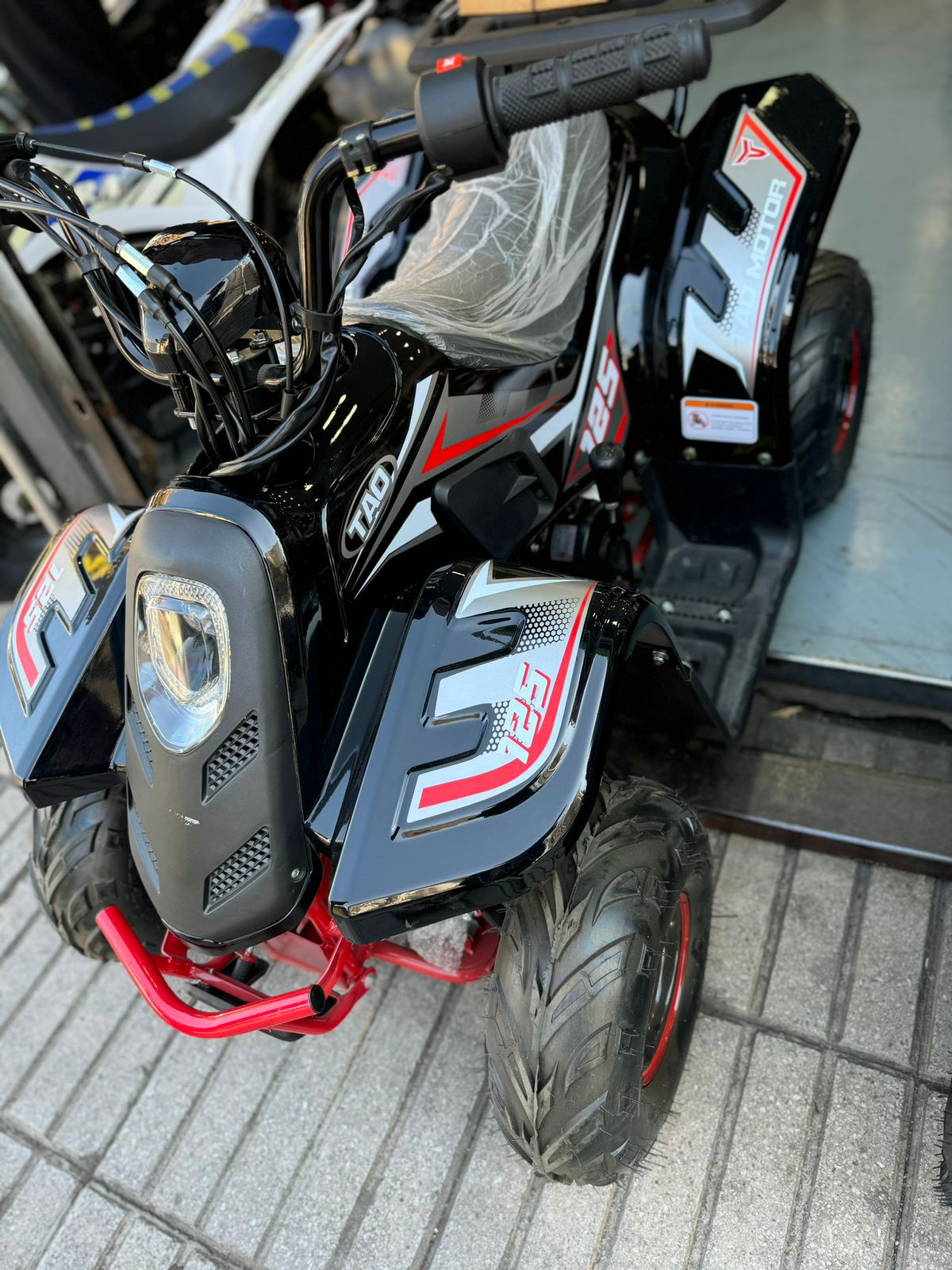 Raptor Builder 110CC (Tao Motor)