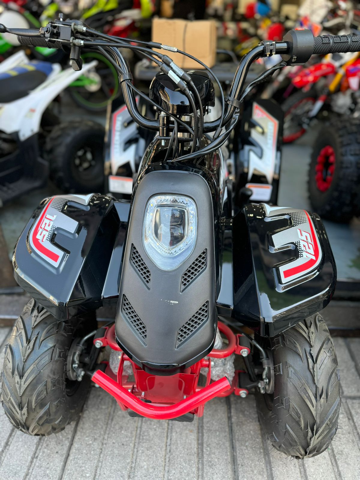 Raptor Builder 110CC (Tao Motor)